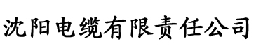 色综合热无码热国产电缆厂logo